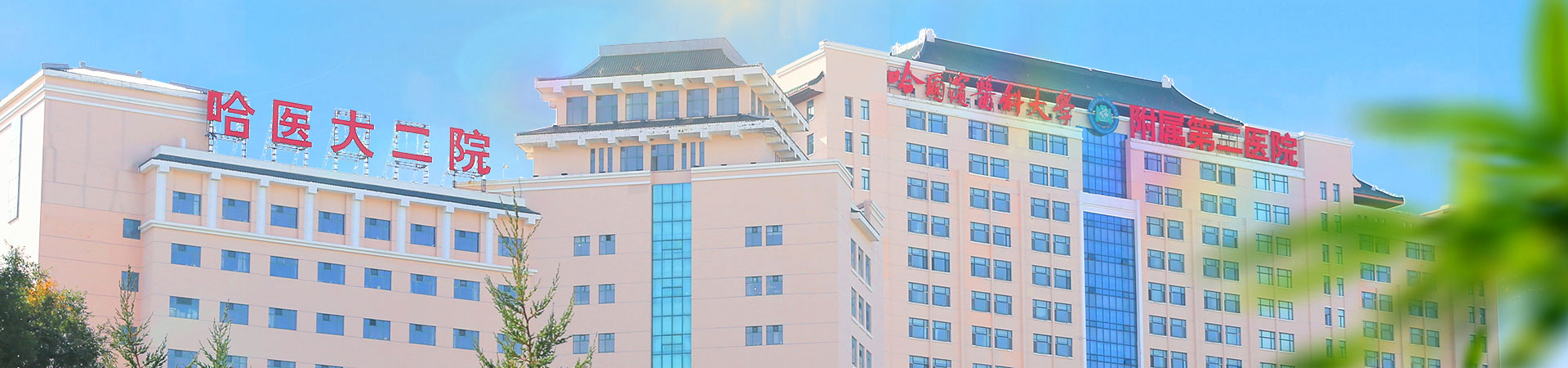 实现脊柱微创领域新突破 哈尔滨市第二医院骨外一科成功开展脊柱内镜下突出椎间盘髓核摘除联合纤维环缝合术